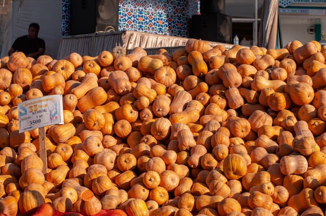 Pile of butternut squash
