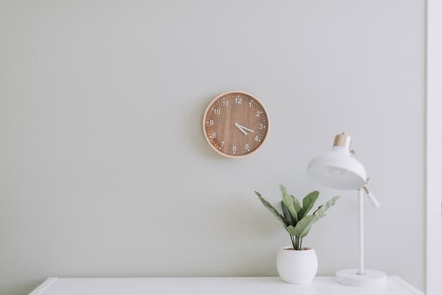 Minimalist space with plant and wall clock