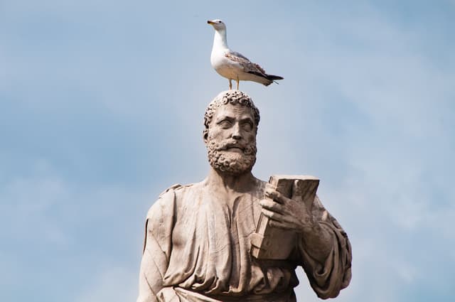 Statue with seagul sitting on its head